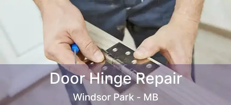  Door Hinge Repair Windsor Park - MB