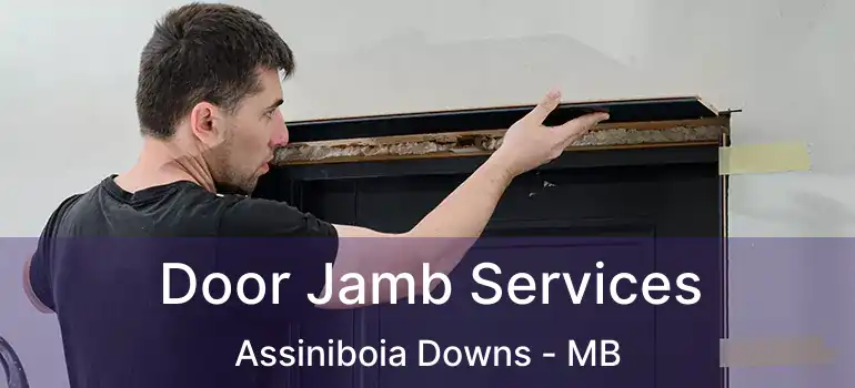 Door Jamb Services Assiniboia Downs - MB
