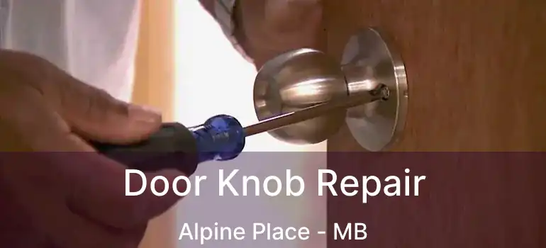  Door Knob Repair Alpine Place - MB