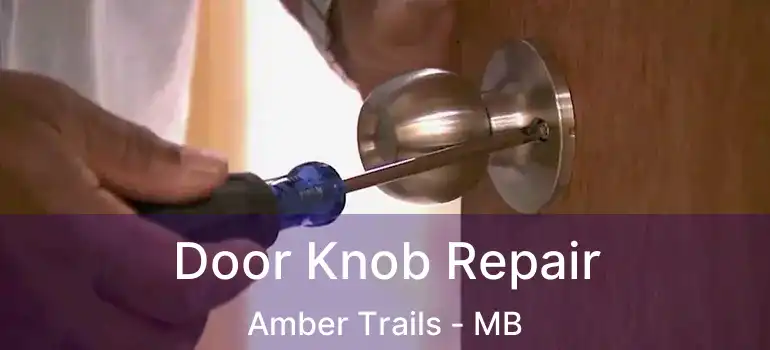  Door Knob Repair Amber Trails - MB