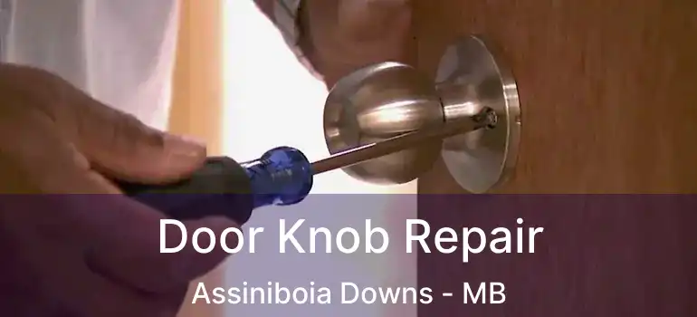  Door Knob Repair Assiniboia Downs - MB