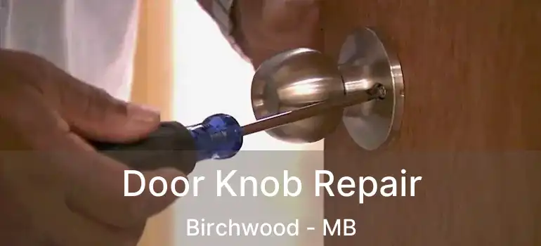  Door Knob Repair Birchwood - MB