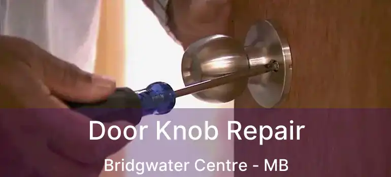  Door Knob Repair Bridgwater Centre - MB