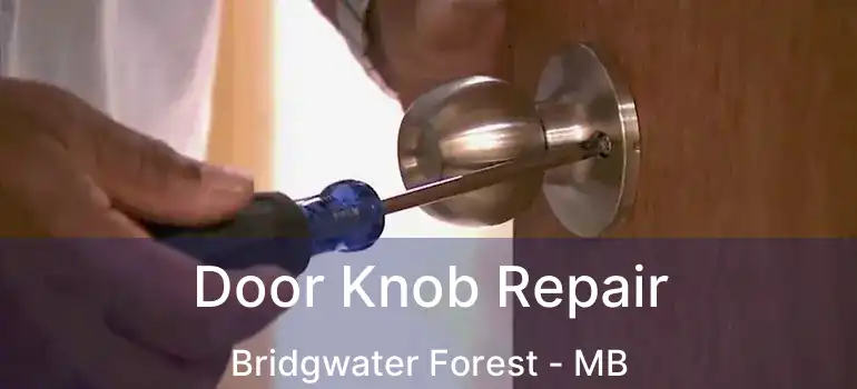  Door Knob Repair Bridgwater Forest - MB