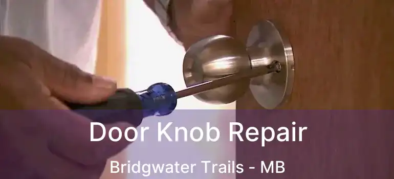  Door Knob Repair Bridgwater Trails - MB
