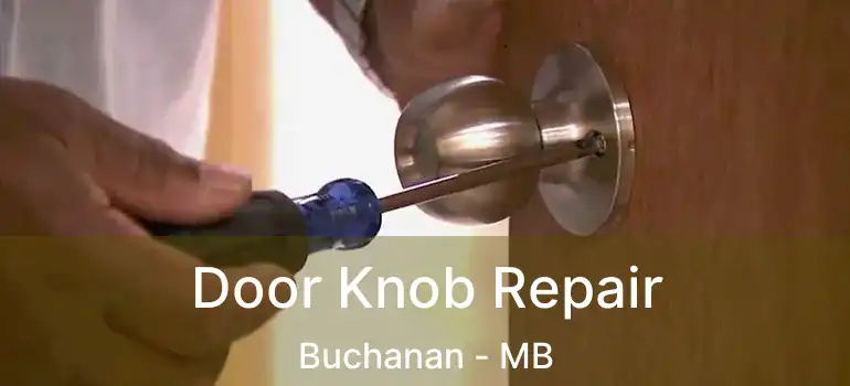  Door Knob Repair Buchanan - MB