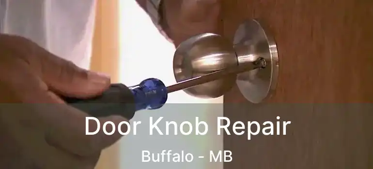  Door Knob Repair Buffalo - MB