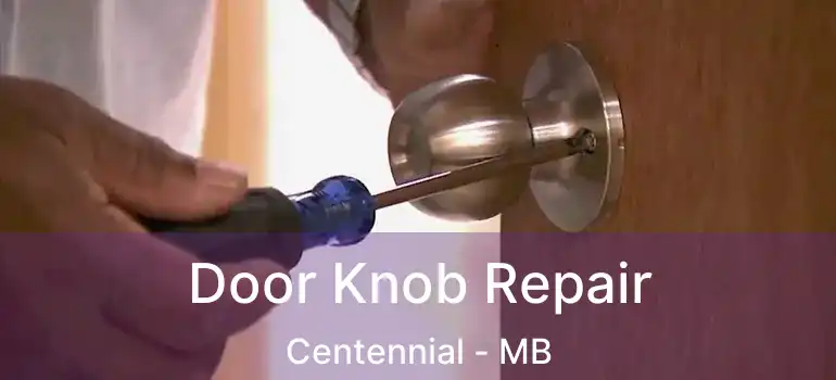  Door Knob Repair Centennial - MB