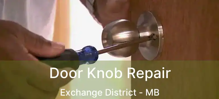  Door Knob Repair Exchange District - MB