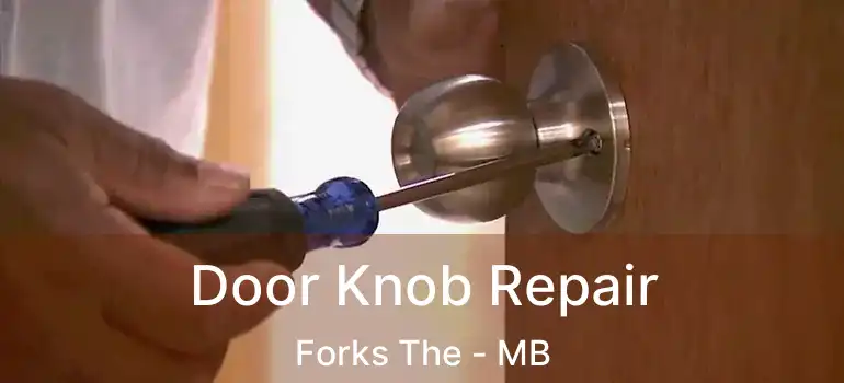  Door Knob Repair Forks The - MB