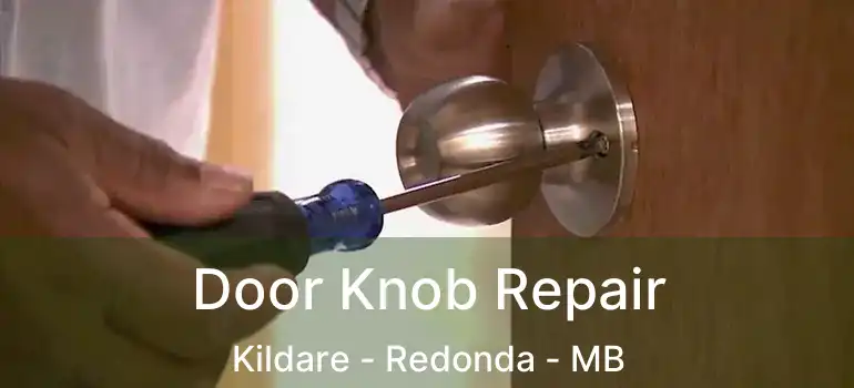  Door Knob Repair Kildare - Redonda - MB