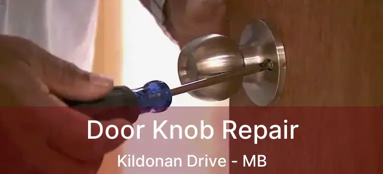  Door Knob Repair Kildonan Drive - MB