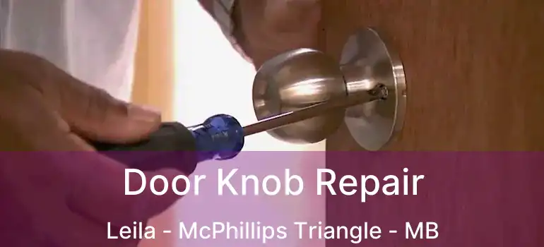  Door Knob Repair Leila - McPhillips Triangle - MB