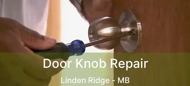  Door Knob Repair Linden Ridge - MB