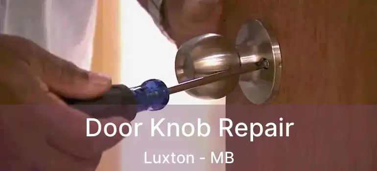 Door Knob Repair Luxton - MB