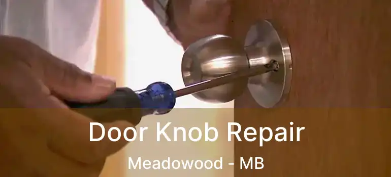  Door Knob Repair Meadowood - MB