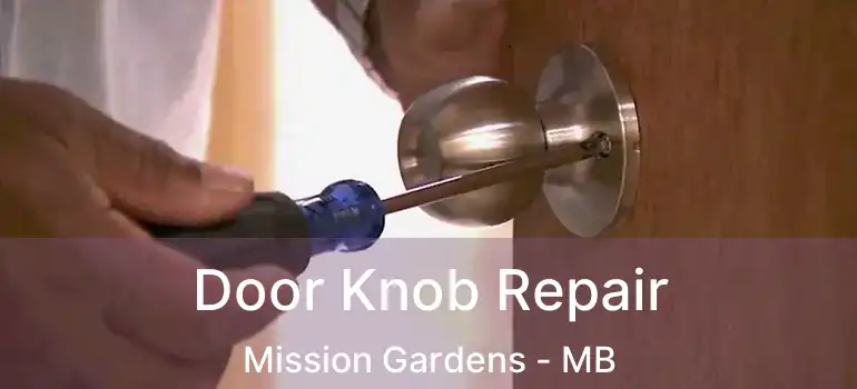  Door Knob Repair Mission Gardens - MB
