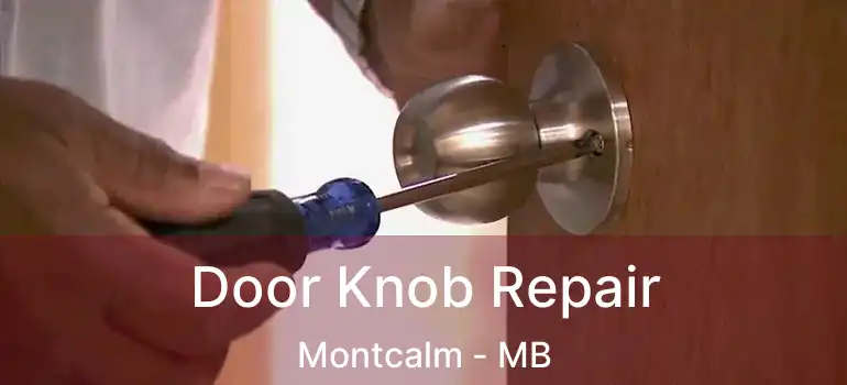  Door Knob Repair Montcalm - MB