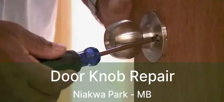  Door Knob Repair Niakwa Park - MB