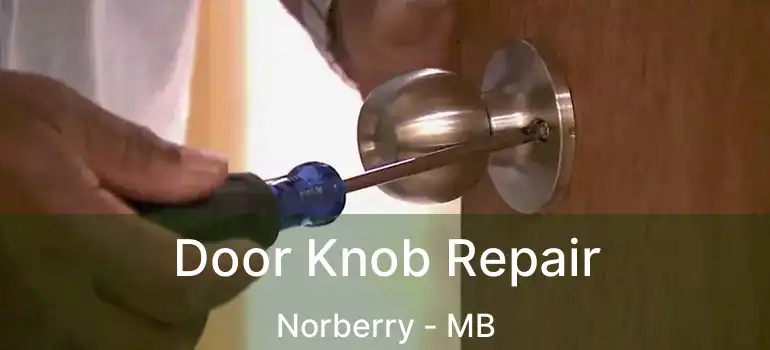  Door Knob Repair Norberry - MB