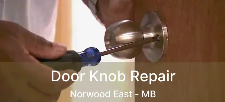  Door Knob Repair Norwood East - MB