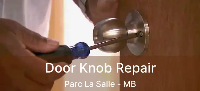  Door Knob Repair Parc La Salle - MB