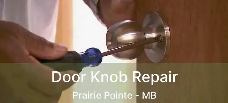  Door Knob Repair Prairie Pointe - MB