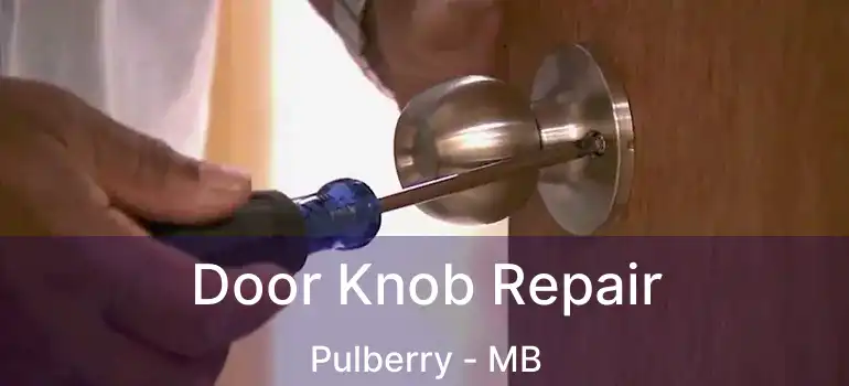  Door Knob Repair Pulberry - MB
