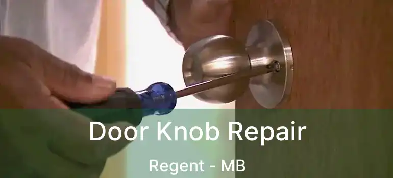  Door Knob Repair Regent - MB