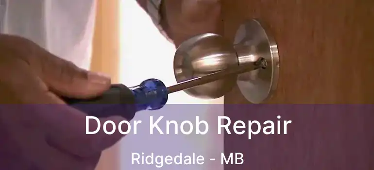  Door Knob Repair Ridgedale - MB