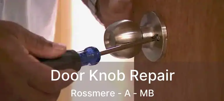  Door Knob Repair Rossmere - A - MB