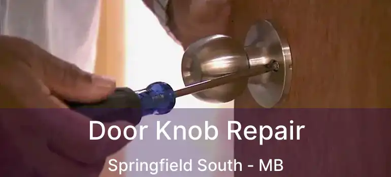 Door Knob Repair Springfield South - MB