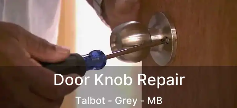  Door Knob Repair Talbot - Grey - MB