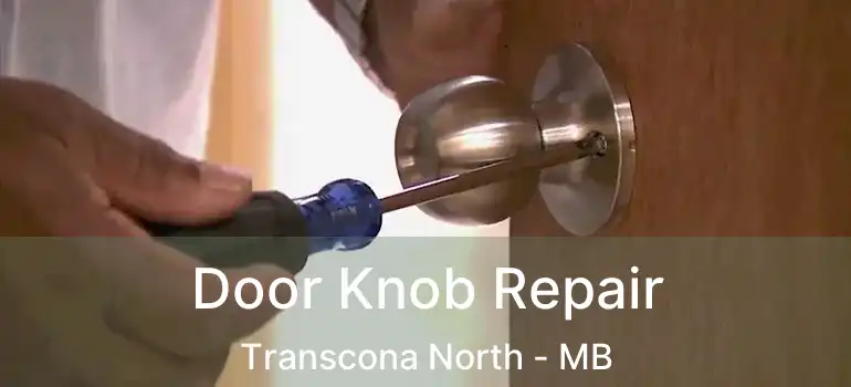  Door Knob Repair Transcona North - MB