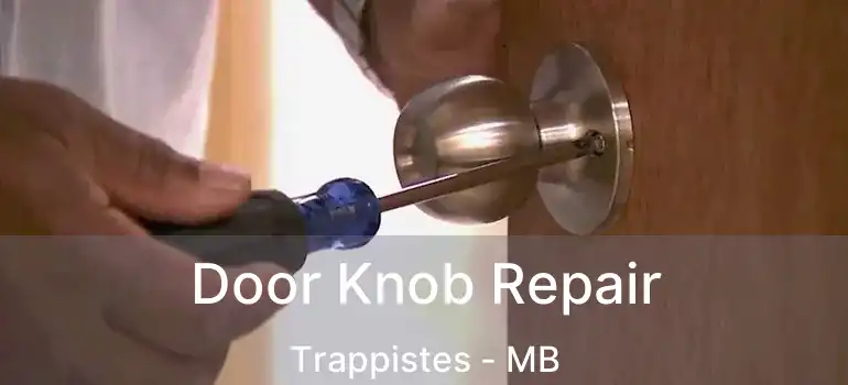  Door Knob Repair Trappistes - MB