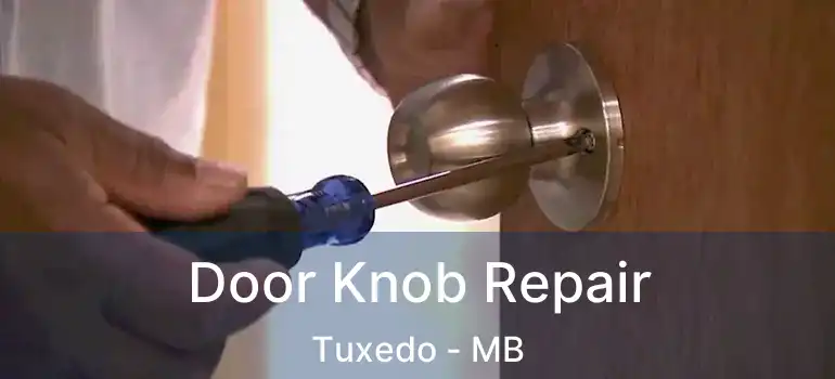  Door Knob Repair Tuxedo - MB