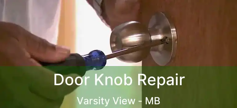  Door Knob Repair Varsity View - MB