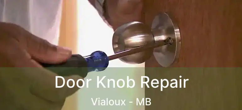 Door Knob Repair Vialoux - MB