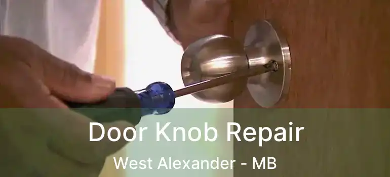  Door Knob Repair West Alexander - MB