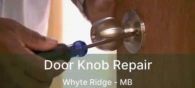  Door Knob Repair Whyte Ridge - MB