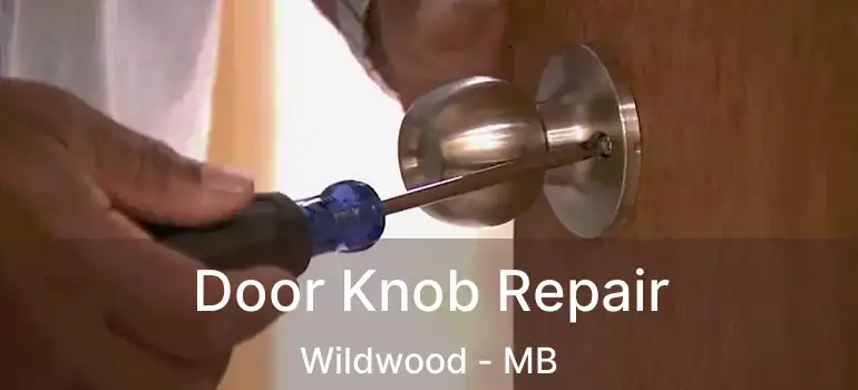  Door Knob Repair Wildwood - MB