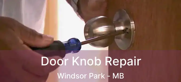  Door Knob Repair Windsor Park - MB