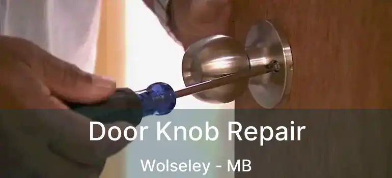  Door Knob Repair Wolseley - MB