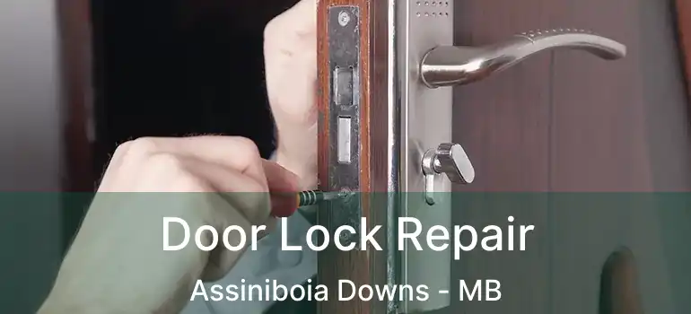  Door Lock Repair Assiniboia Downs - MB