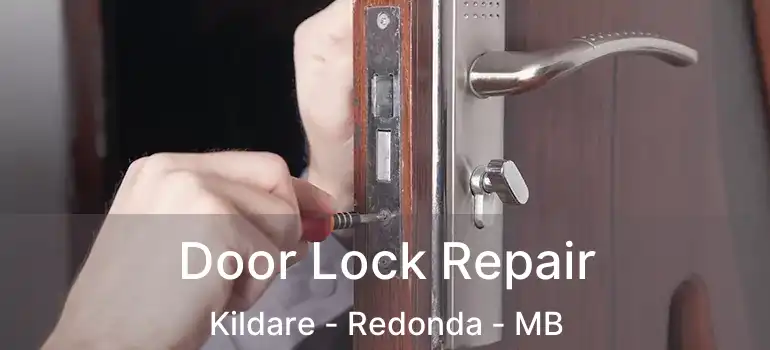  Door Lock Repair Kildare - Redonda - MB