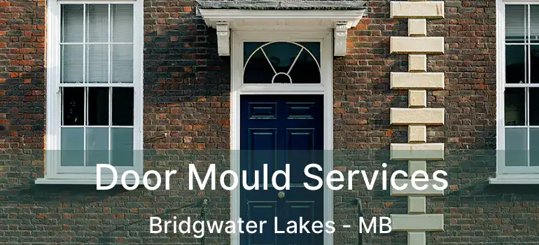  Door Mould Services Bridgwater Lakes - MB