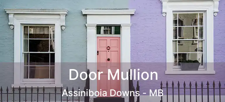  Door Mullion Assiniboia Downs - MB
