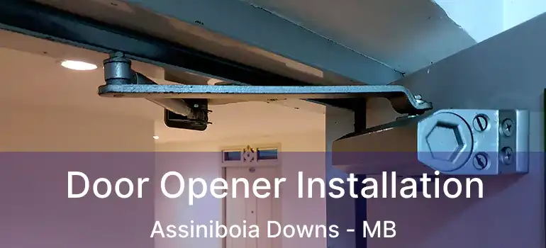 Door Opener Installation Assiniboia Downs - MB