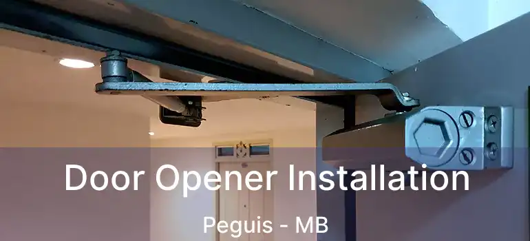  Door Opener Installation Peguis - MB