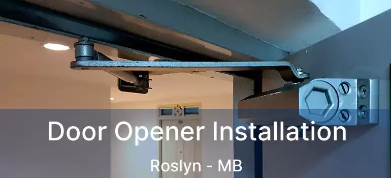  Door Opener Installation Roslyn - MB